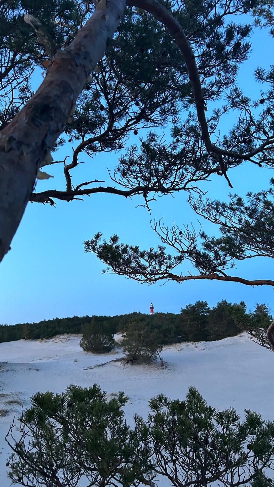 Morski Klimat Sasino Domki Z Balia I Kominkiem Exterior foto